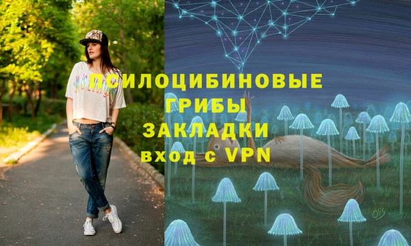 стаф Абдулино