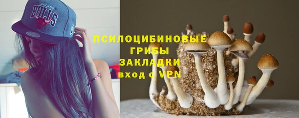 стаф Абдулино
