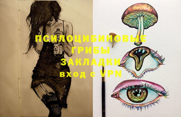 шишки Алзамай