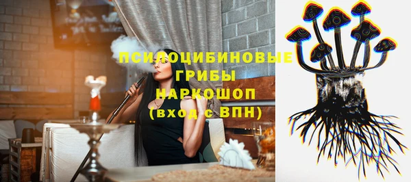 шишки Алексин