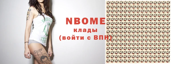 шишки Алзамай